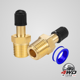 1/4 inch inflation Schrader valve with push to connect for air line and air spring suspension