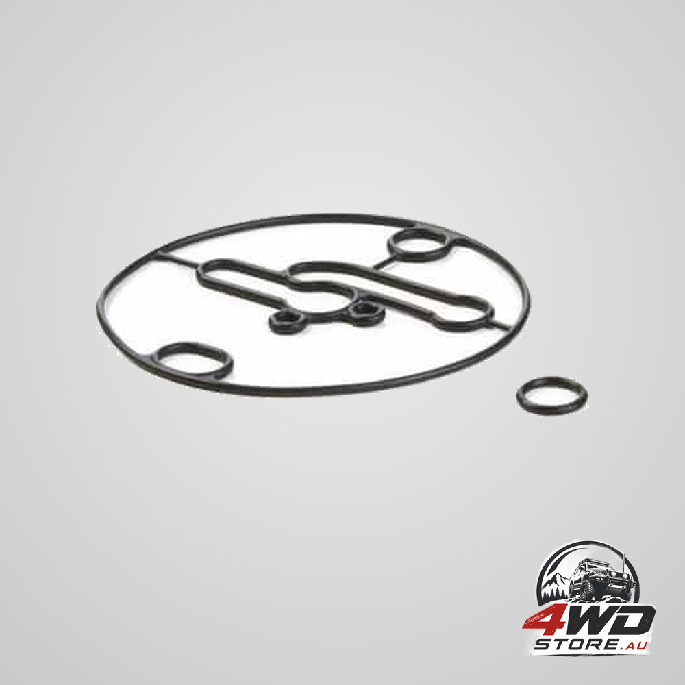 Briggs and Stratton 698781 crankcase gasket