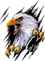 Car eagle sports stickers 2 pieces — view 2