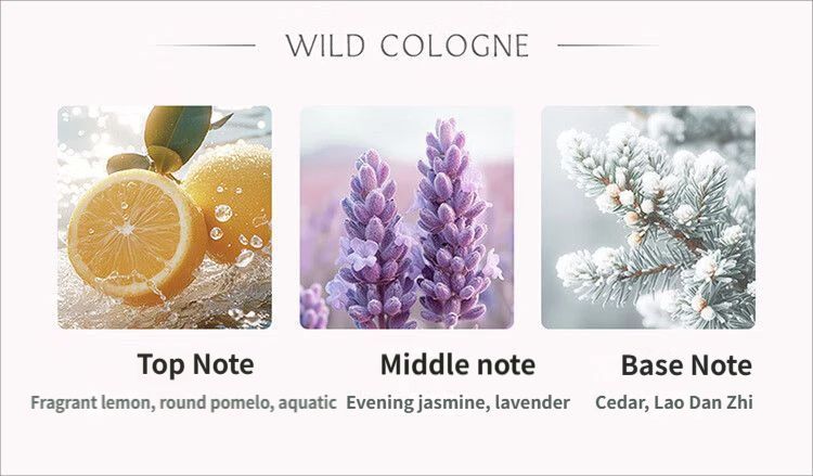 Car aromatherapy diffuser — view 13