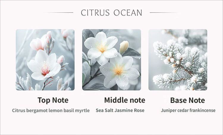 Car aromatherapy diffuser — view 17