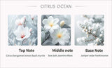 Car aromatherapy diffuser — view 17