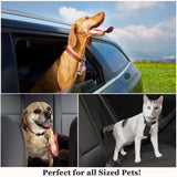 Dog Seat Belt for Car, Adjustable — view 9