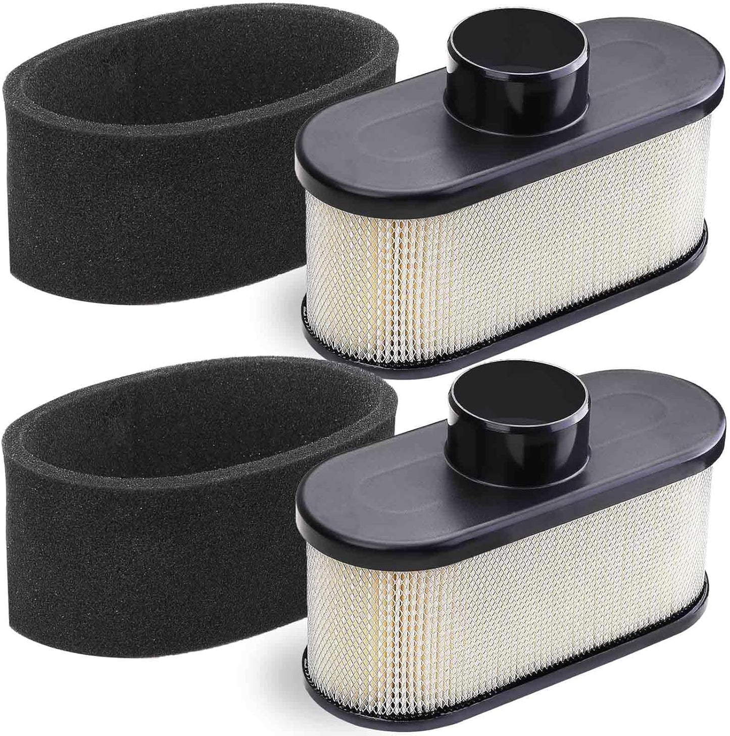 2 Pack FR691V Air Filter — view 2