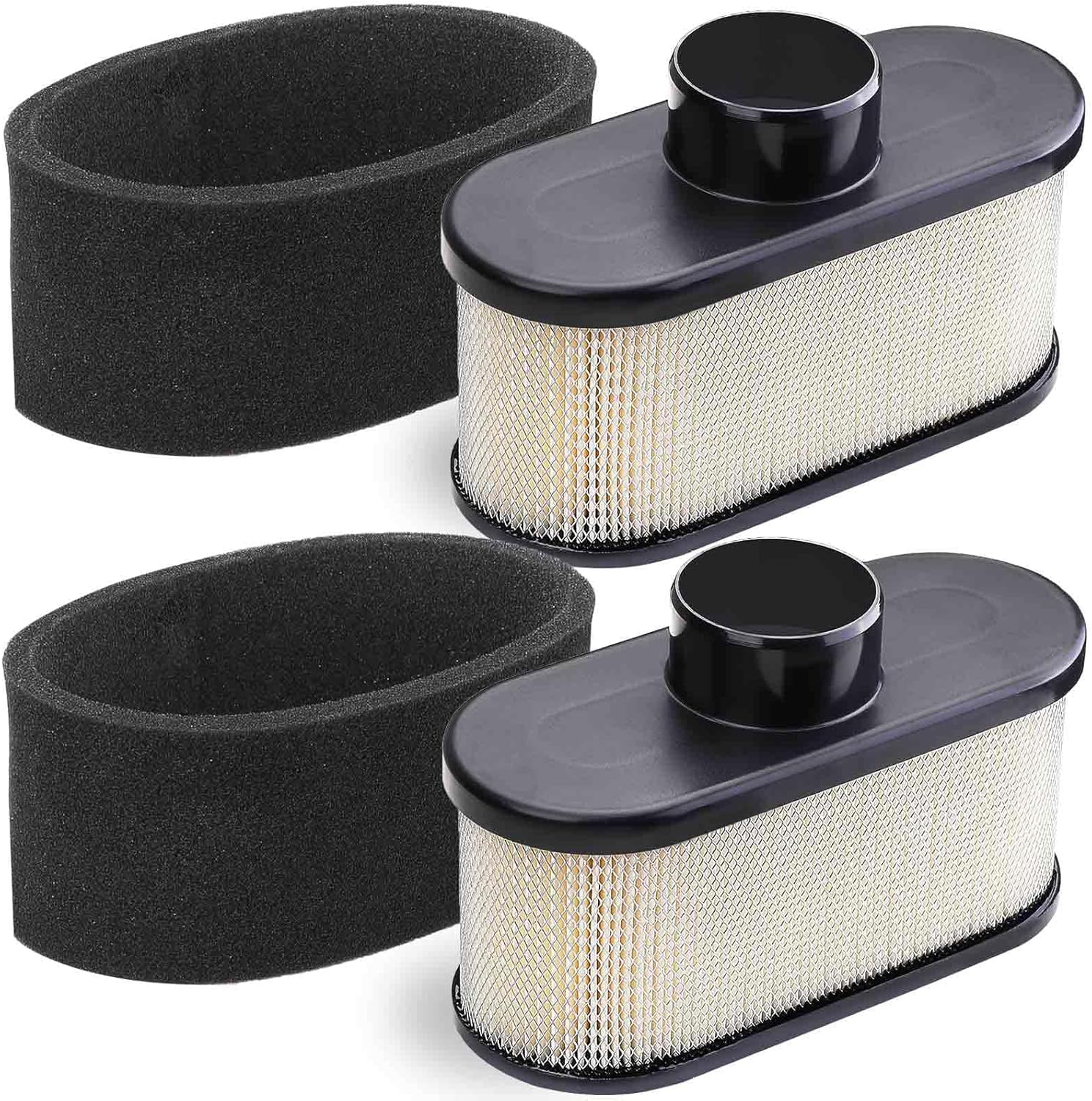 2 Pack FR691V Air Filter — view 2