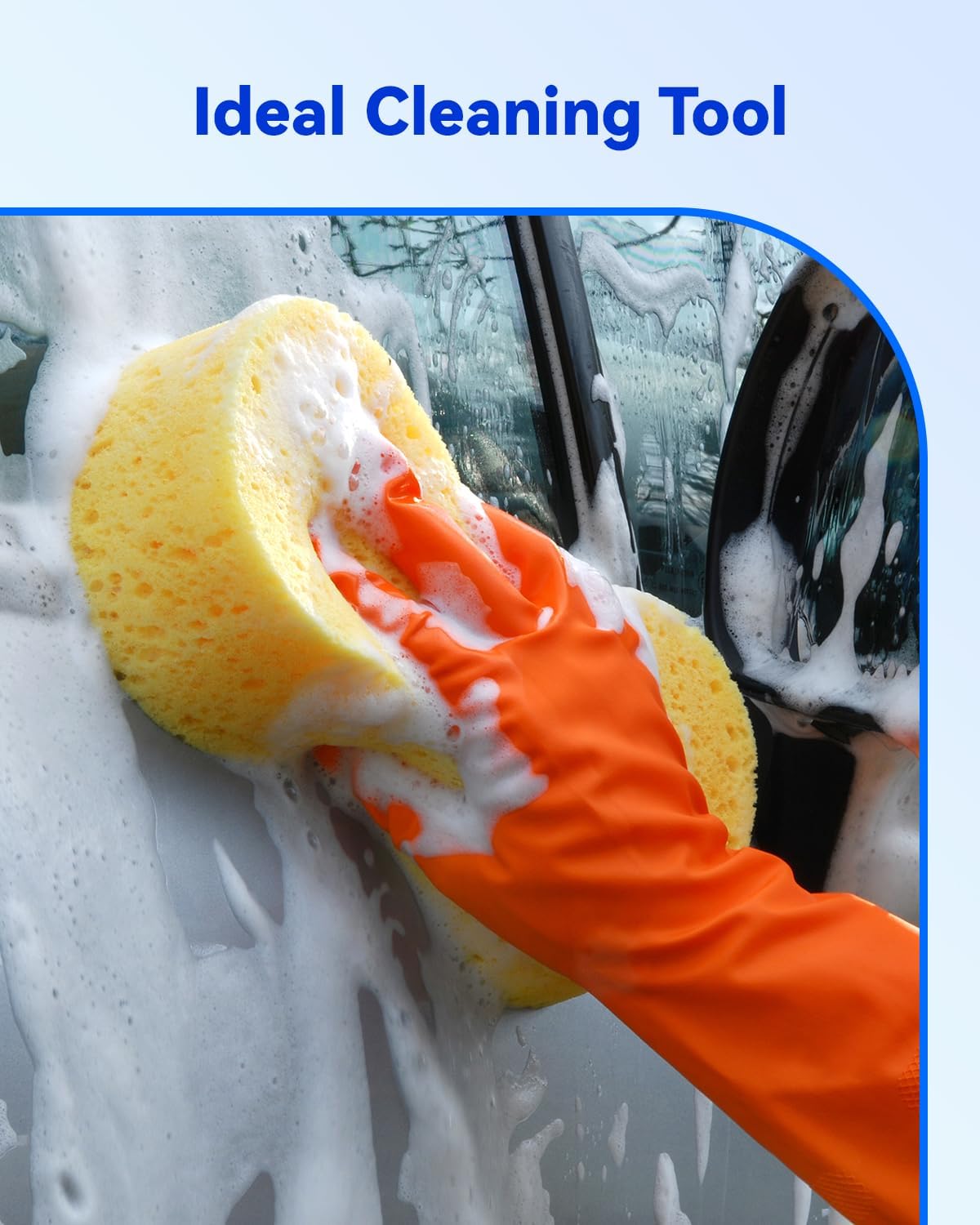 Car wash bone sponge — view 8