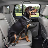 Adjustable dog car seat belt — view 3