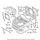 Rexka 20 piece Ford hood insulation clips — view 7