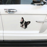 Dog car crack decal sticker — view 4