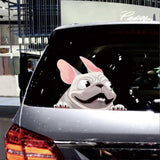 Dog car sticker — view 5