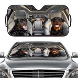 Driving Car Sunshade for Windshield UV — view 5