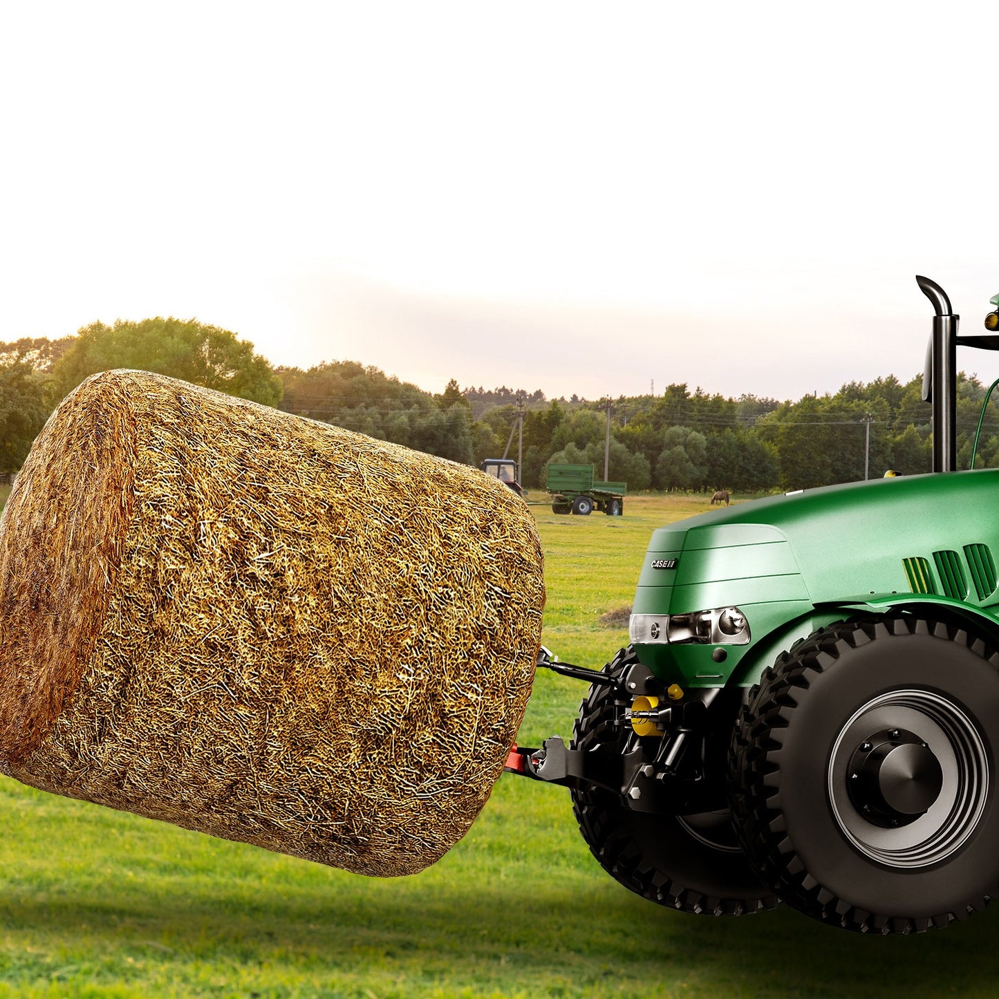49 inch Hay Spear Bale Spears — view 9