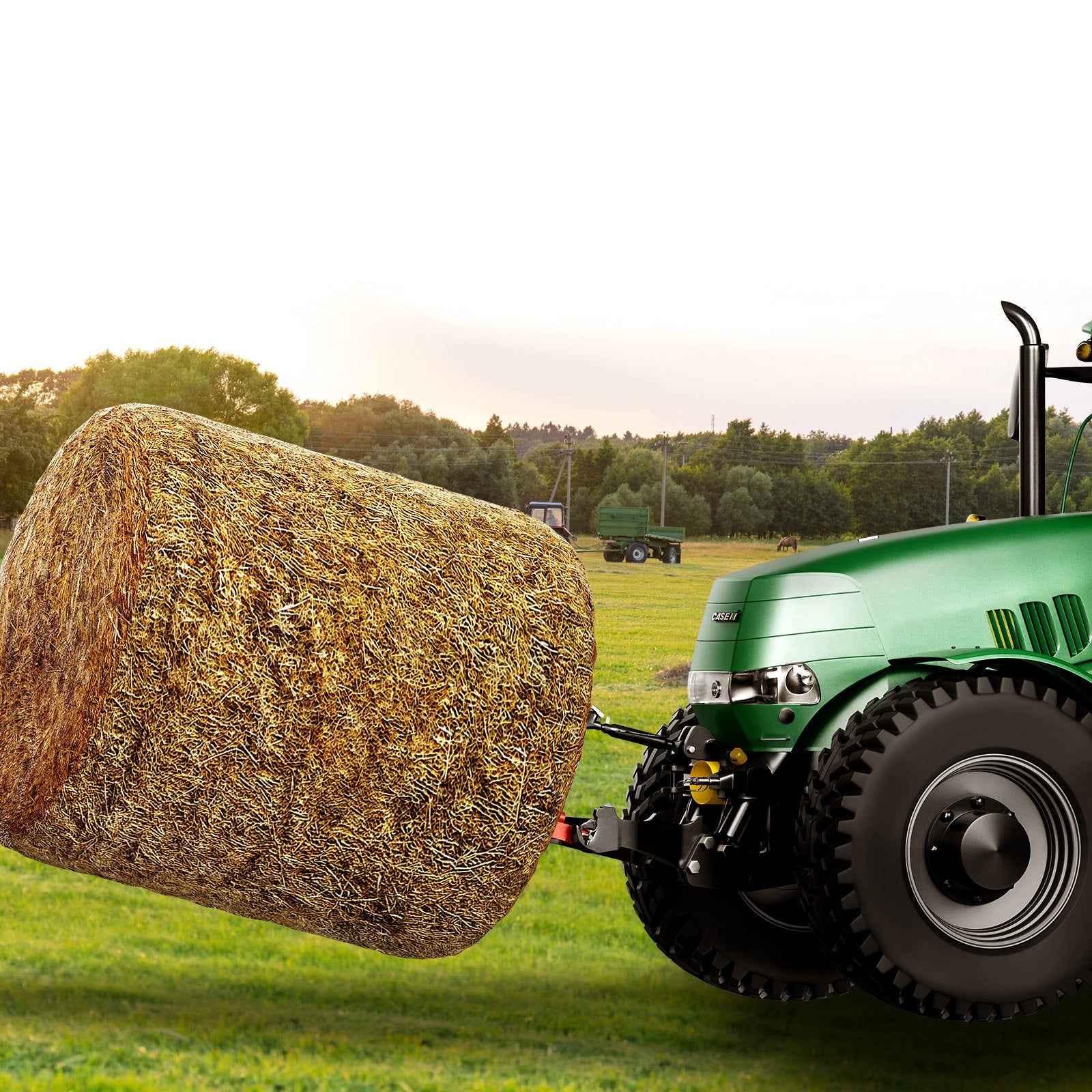 49 inch Hay Spear Bale Spears — view 9