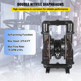 75 GPM Air-Operated Double Diaphragm — view 5